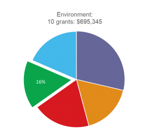Environment pie graph